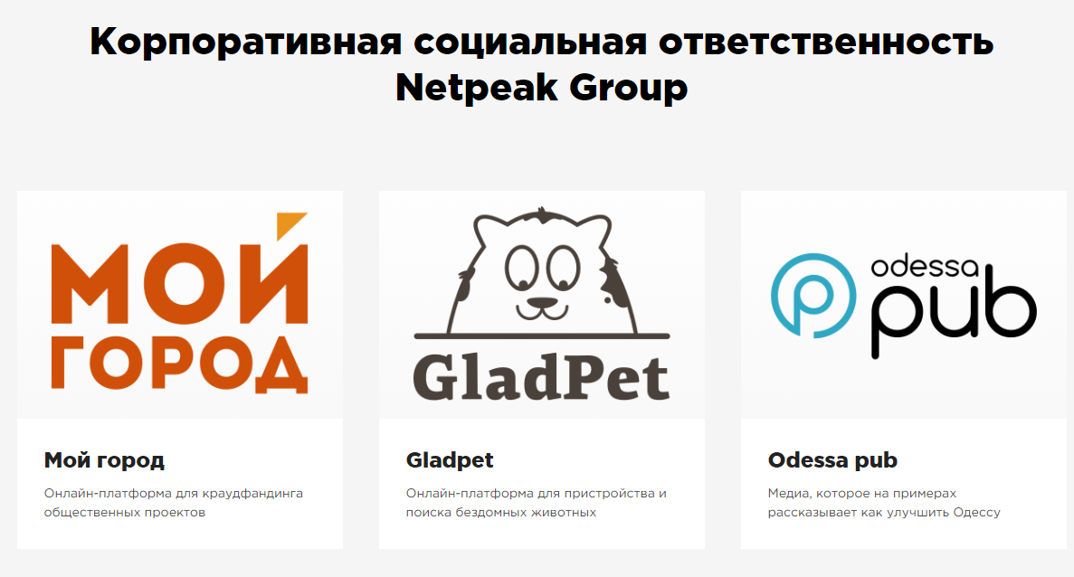 Социальные проекты Netpeak Group